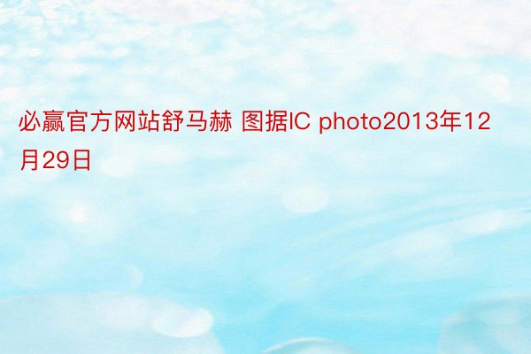必赢官方网站舒马赫 图据IC photo2013年12月29日